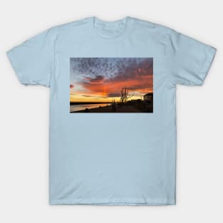 Delightful December Daybreak T-Shirt